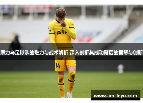 魔力鸟足球队的魅力与战术解析 深入剖析其成功背后的智慧与创新