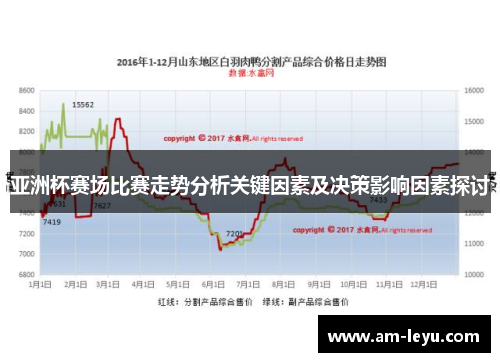 亚洲杯赛场比赛走势分析关键因素及决策影响因素探讨