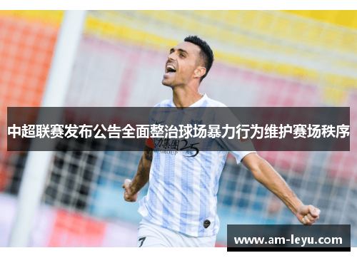 中超联赛发布公告全面整治球场暴力行为维护赛场秩序